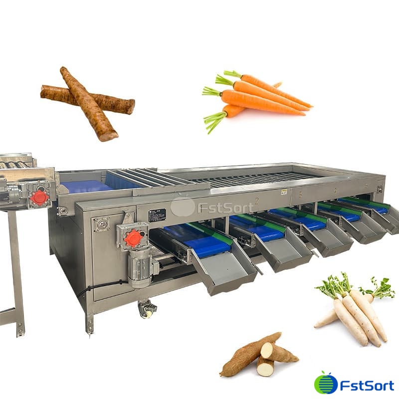 images/1764555805548burdock root 2.jpg